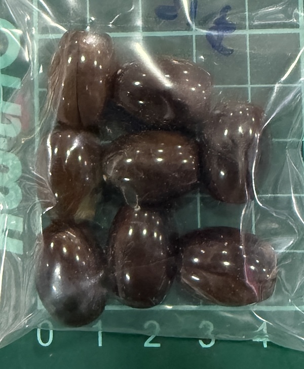 Bead Oval 20x15mm Brown